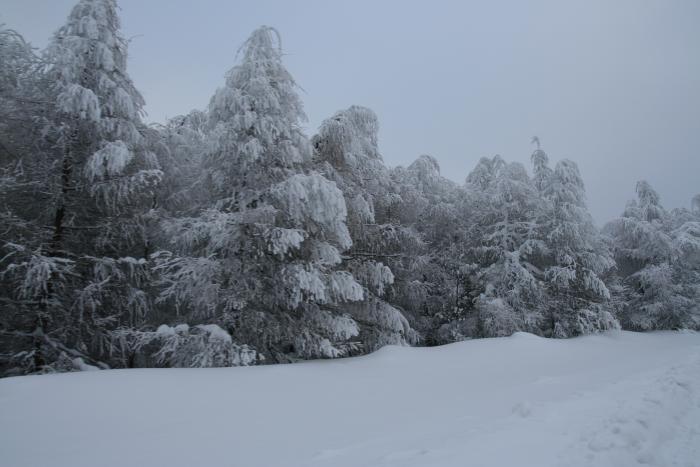 foto k příspěvku  od kral007 (eXtrem-audio.cz)