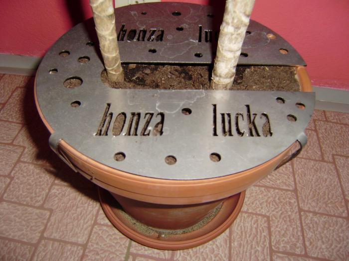 foto k příspěvku  od Honcke