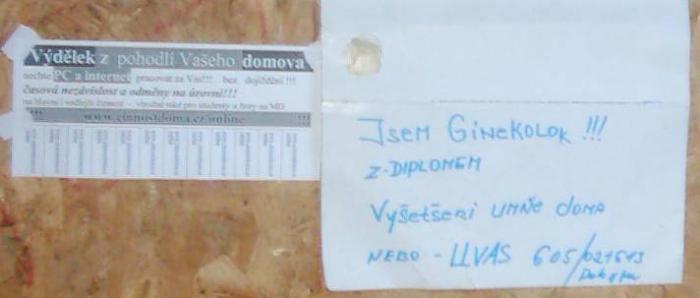 foto k příspěvku  od Thullo