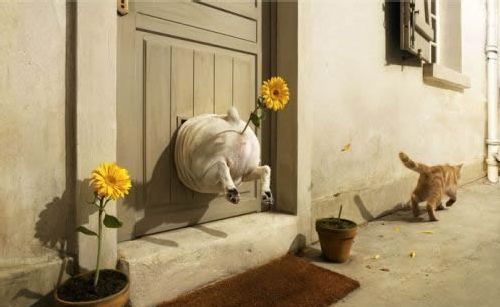 foto k příspěvku  od Thullo