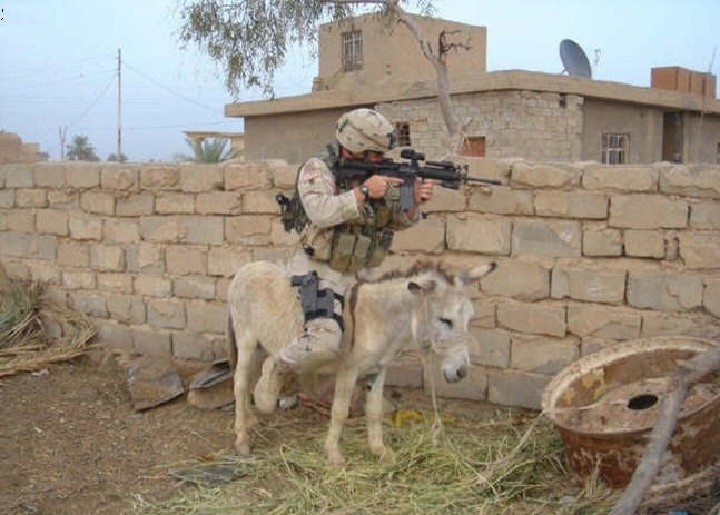 foto k příspěvku  od Thullo