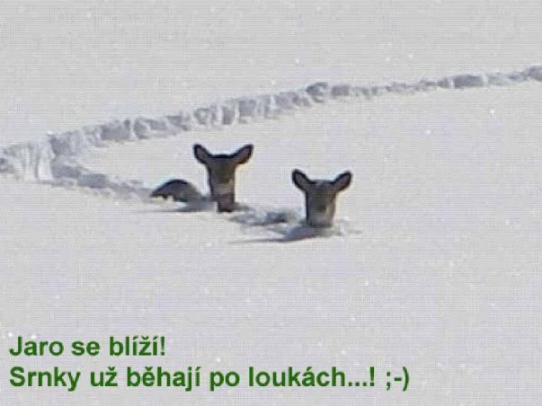 foto k příspěvku  od Lsimak