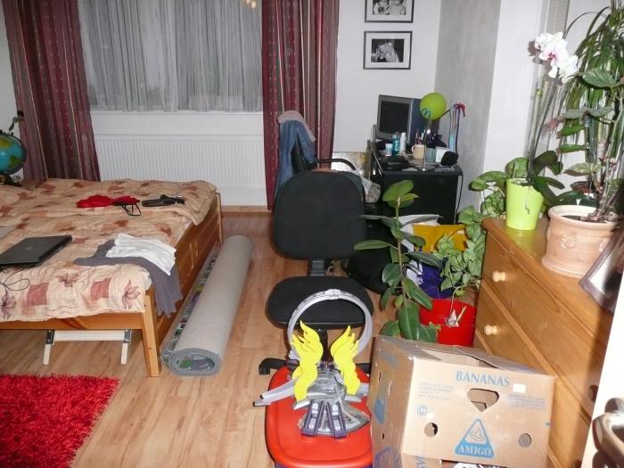 foto k příspěvku  od BULOH