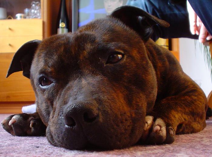 foto k příspěvku  od X-sat