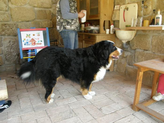 foto k příspěvku  od ibizman