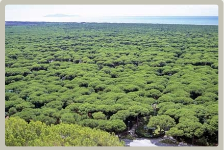 foto k příspěvku  od Crimson