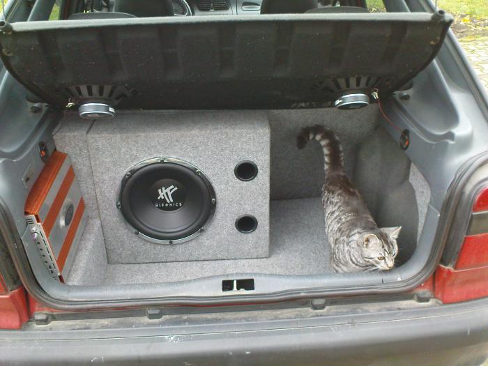 foto k příspěvku  od hawai