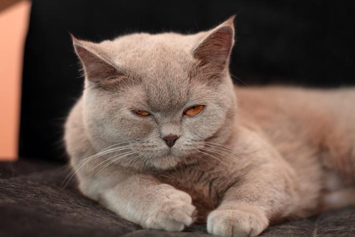 foto k příspěvku  od Mr.Scully