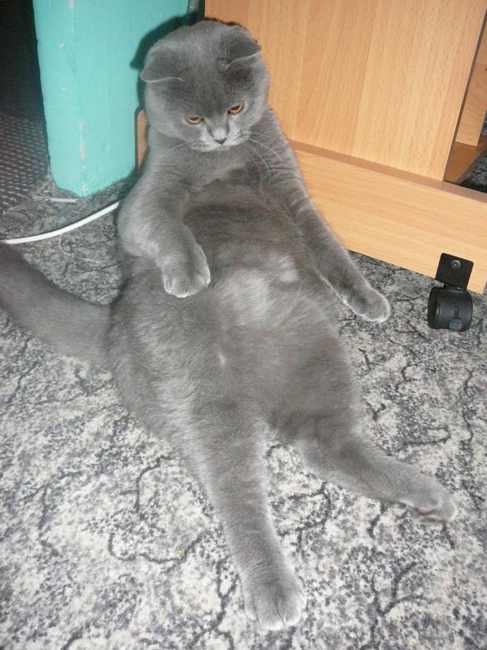 foto k příspěvku  od Mika