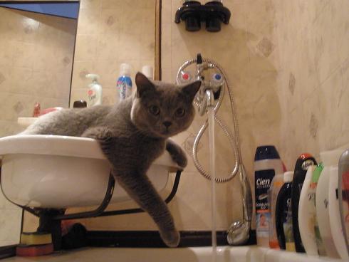 foto k příspěvku  od cendler