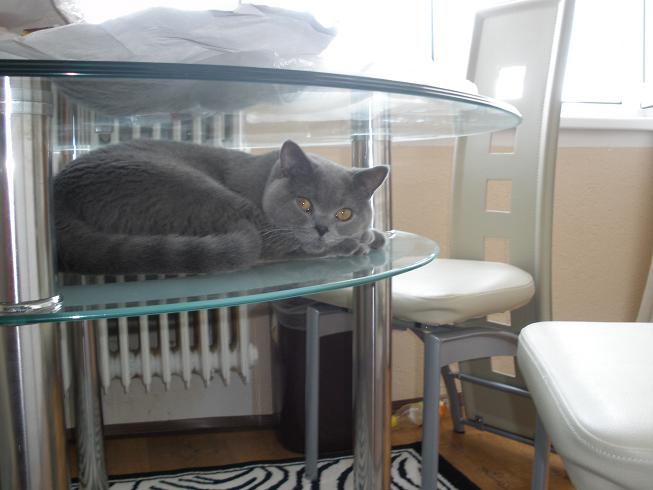 foto k příspěvku  od cendler