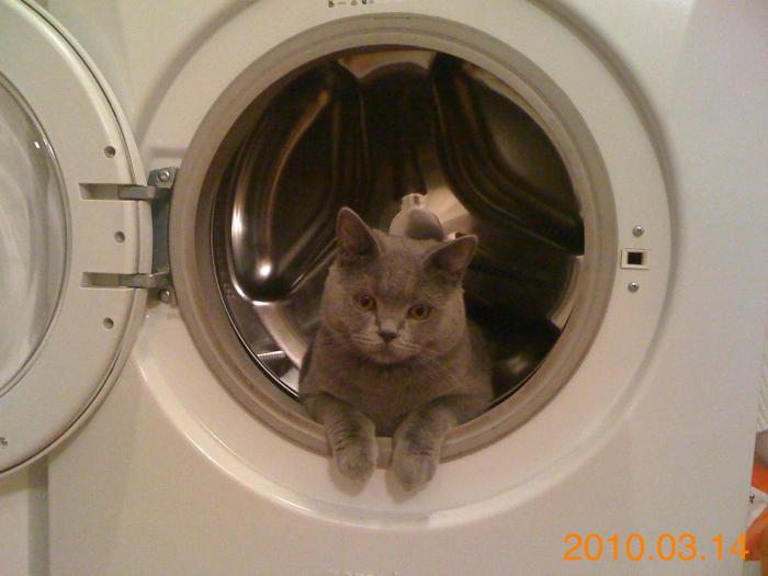 foto k příspěvku  od Knightey-