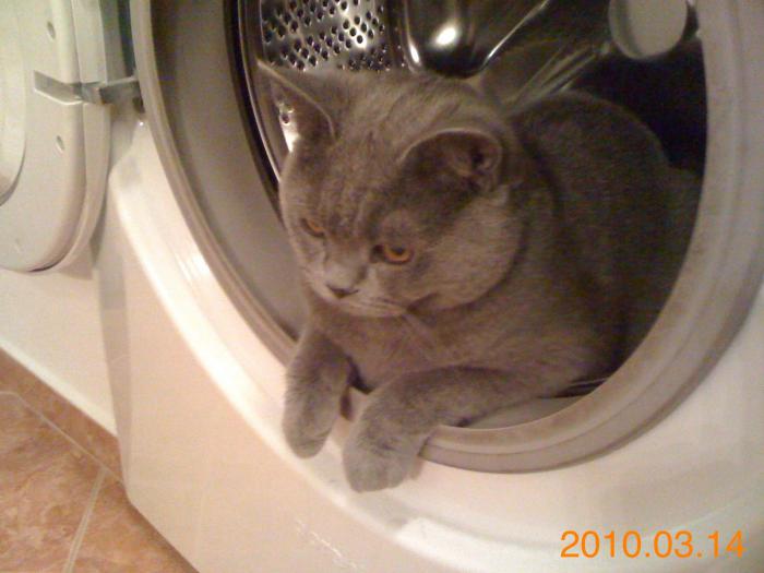 foto k příspěvku  od Knightey-