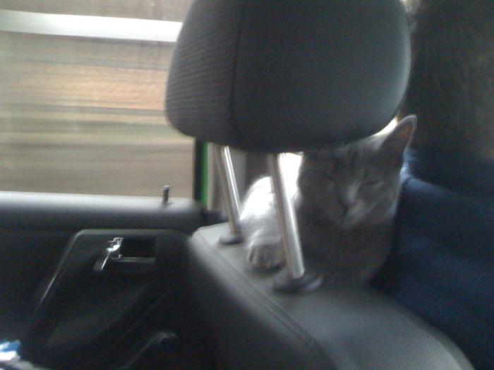 foto k příspěvku  od axetom