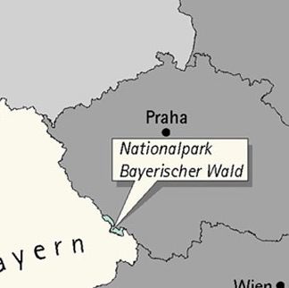 foto k příspěvku  od Crimson