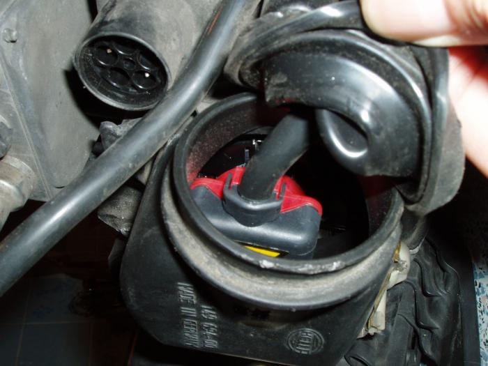 foto k příspěvku  od Lumík