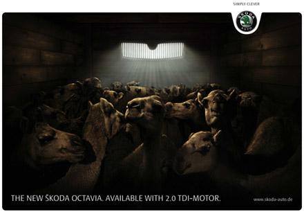 foto k příspěvku  od ruffrider