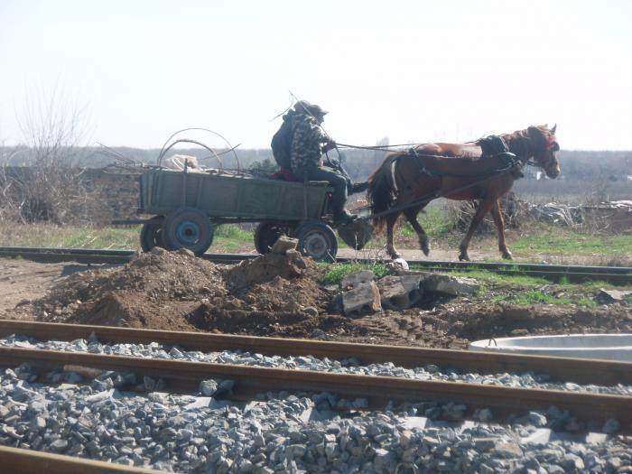 foto k příspěvku  od jenik