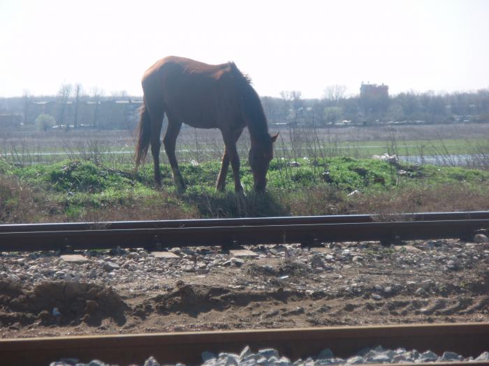 foto k příspěvku  od jenik