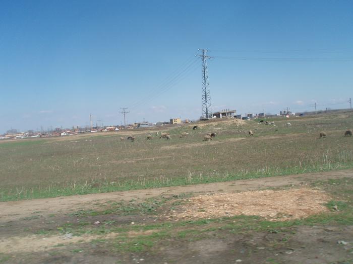 foto k příspěvku  od jenik