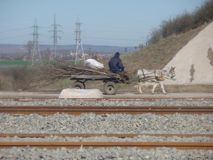 foto k příspěvku  od jenik