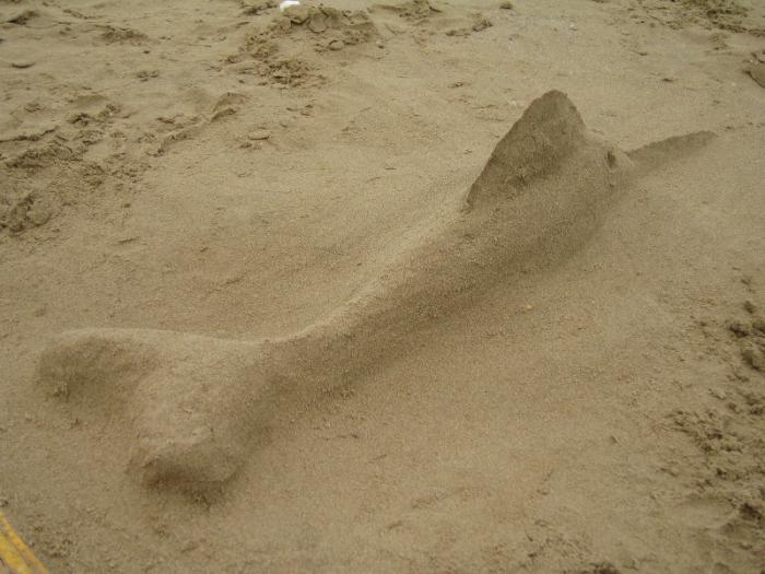 foto k příspěvku  od Lucass