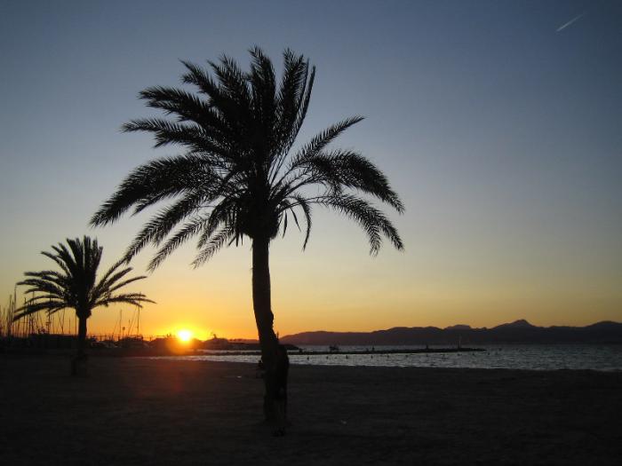 foto k příspěvku  od Lucass