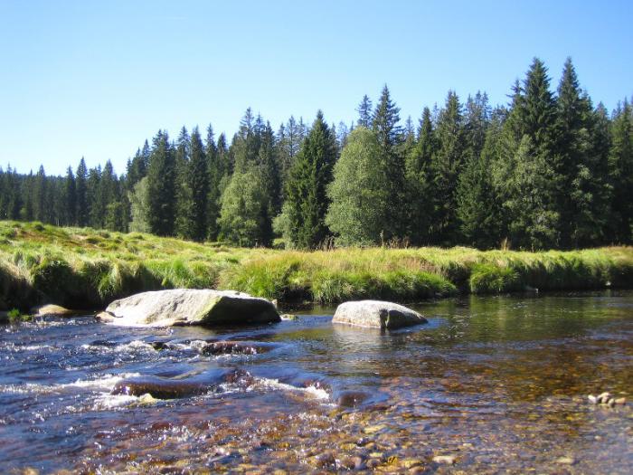 foto k příspěvku  od Lucass