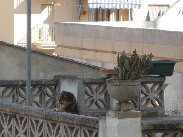 foto k příspěvku  od Lucass