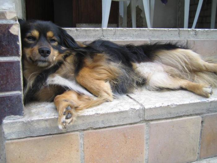 foto k příspěvku  od Lucass