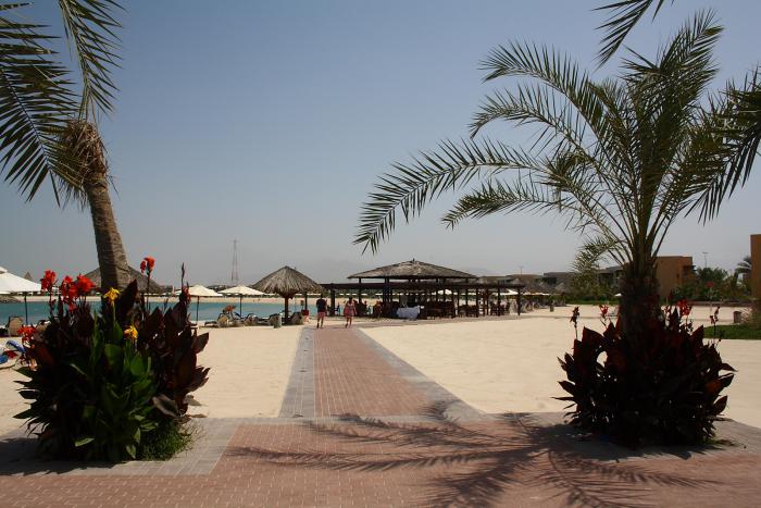 foto k příspěvku  od Martyn