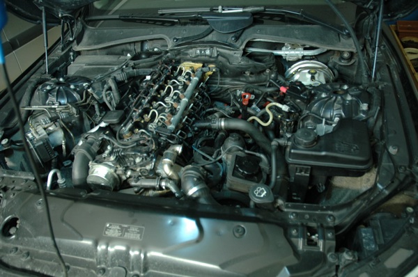 foto k příspěvku  od CervinVega