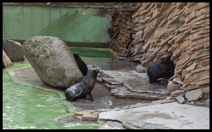 foto k příspěvku  od Bingi