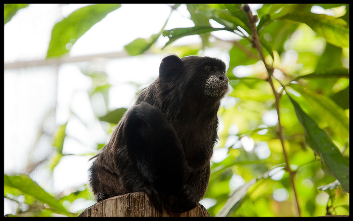 foto k příspěvku  od Bingi