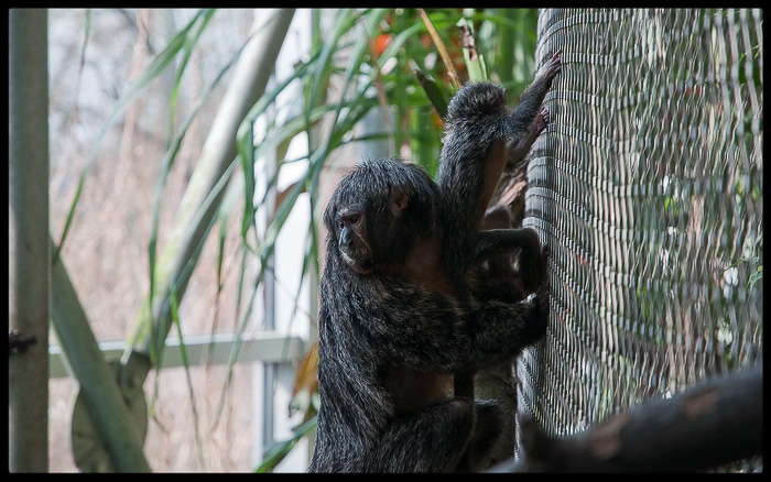 foto k příspěvku  od Bingi