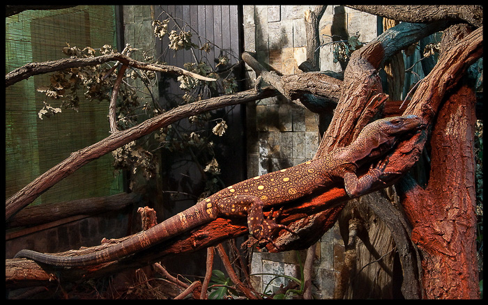 foto k příspěvku  od Bingi