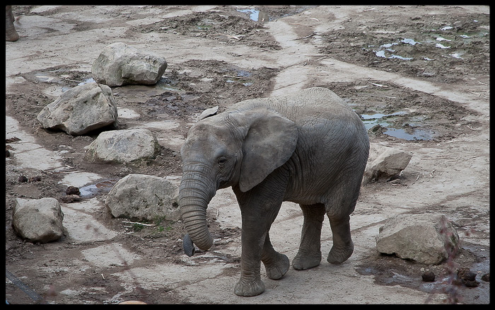 foto k příspěvku  od Bingi