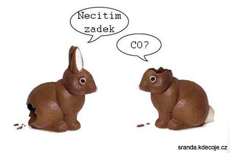 foto k příspěvku  od Dexter