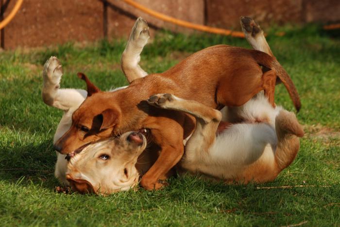 foto k příspěvku  od JA