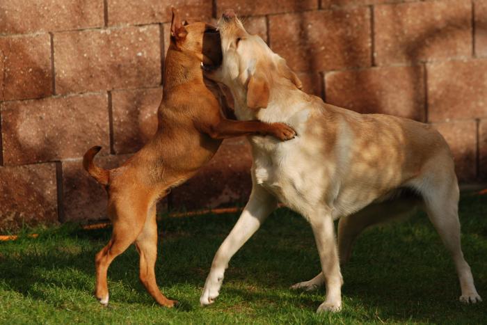 foto k příspěvku  od JA