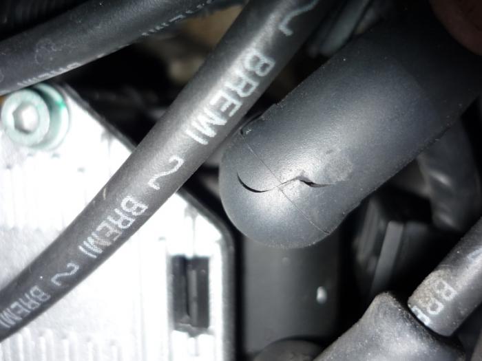 foto k příspěvku  od TomasW