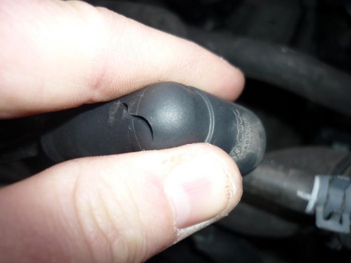 foto k příspěvku  od TomasW