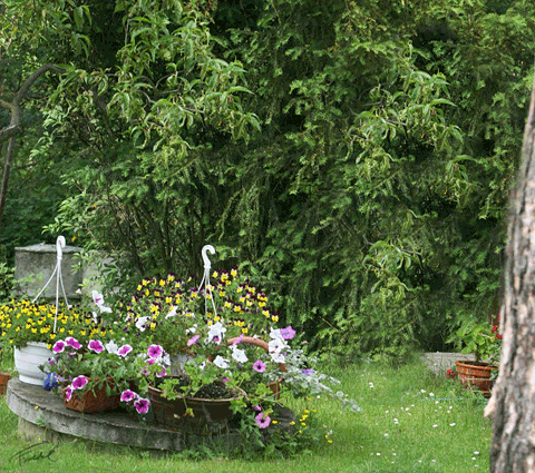 foto k příspěvku  od AR