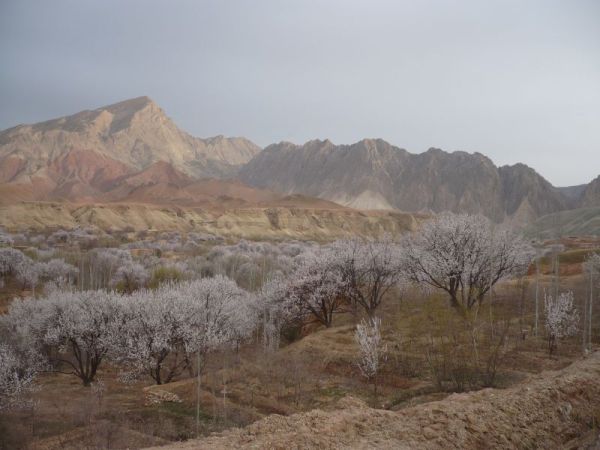 foto k příspěvku  od deda