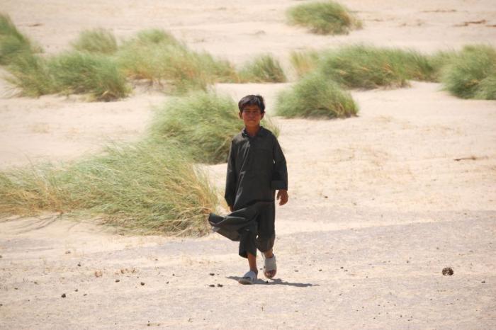 foto k příspěvku  od deda