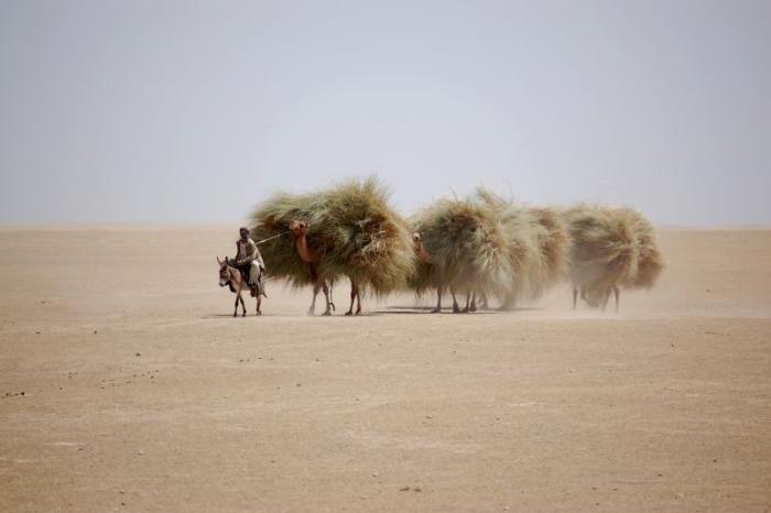 foto k příspěvku  od deda