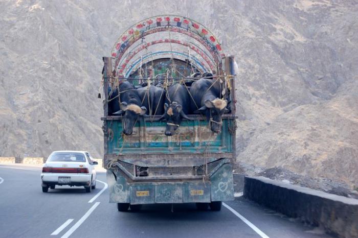 foto k příspěvku  od deda