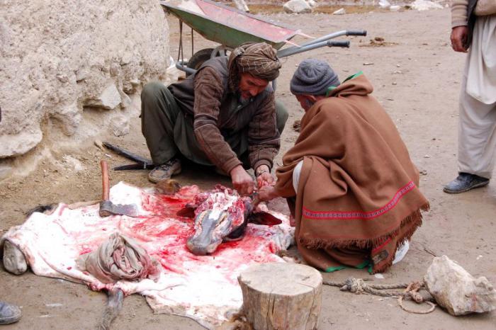 foto k příspěvku  od deda