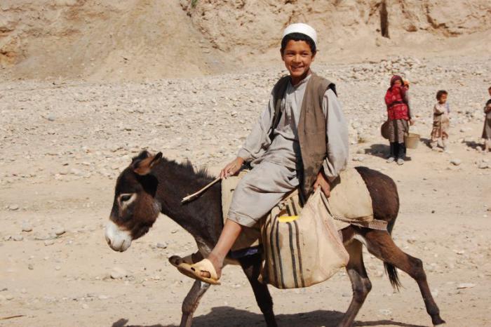 foto k příspěvku  od deda