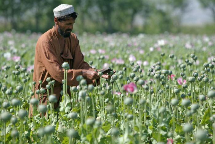 foto k příspěvku  od deda